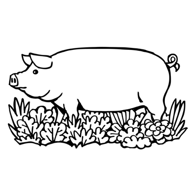 Cerdo entre hortalizas