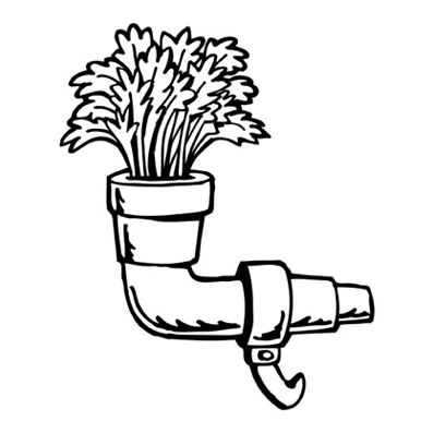 Alfalfa brotando de una cañería