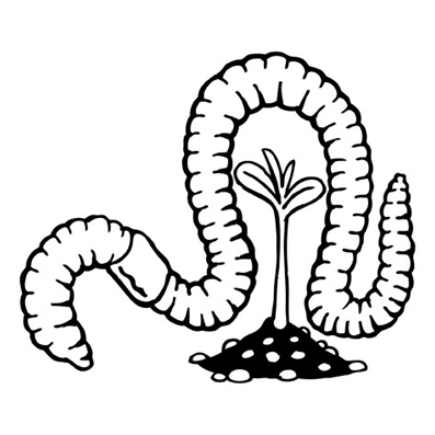 Lombriz sobre el brote de una planta